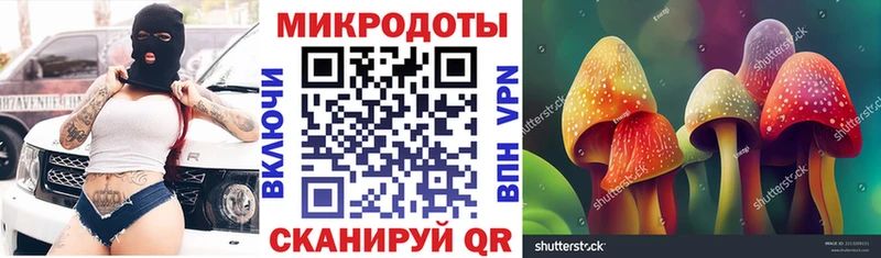 Псилоцибиновые грибы Psilocybe  Княгинино 